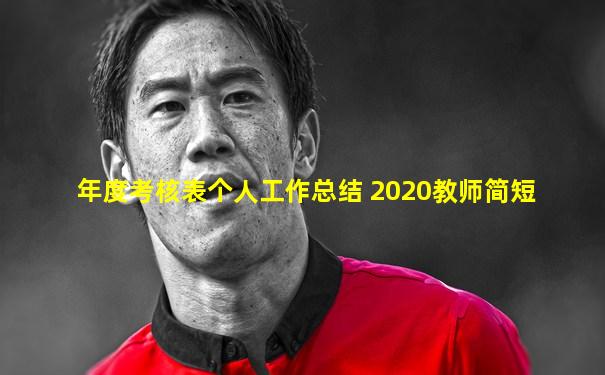 年度考核表个人工作总结 2020教师简短